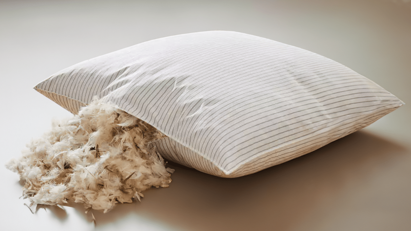 Oreiller 60x60 blanc plume de canard